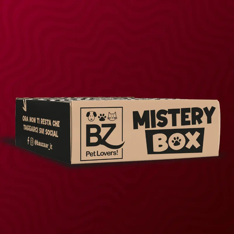 XMAS Bauzaar Mistery Box