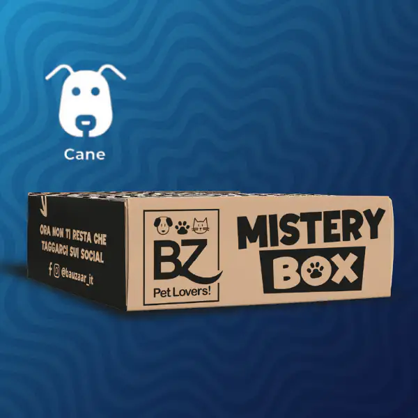 Bauzaar Mistery Box
