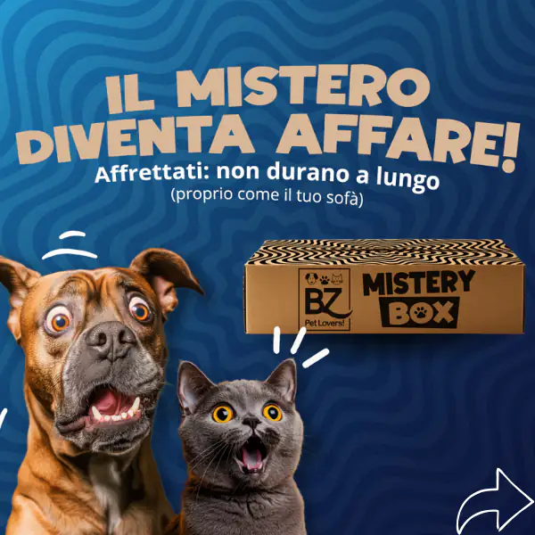 Bauzaar Mistery Box