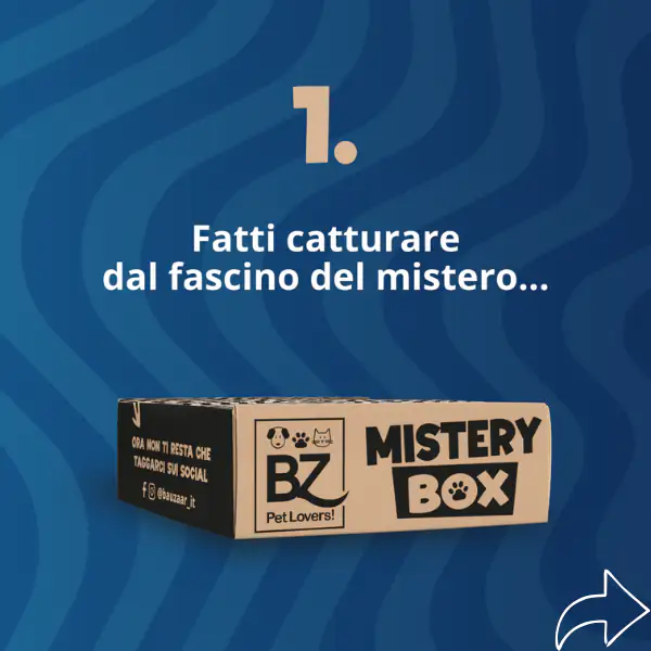 Bauzaar Mistery Box