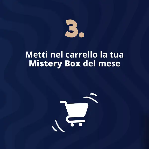 Bauzaar Mistery Box