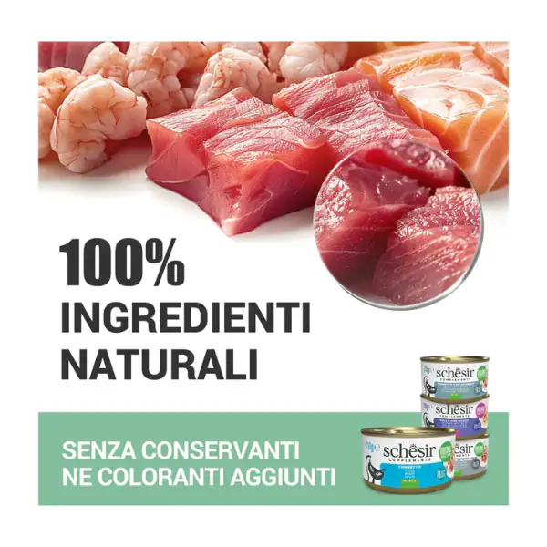 Schesir Cat Adult filetti in brodo alimento complementare in lattina 70 gr