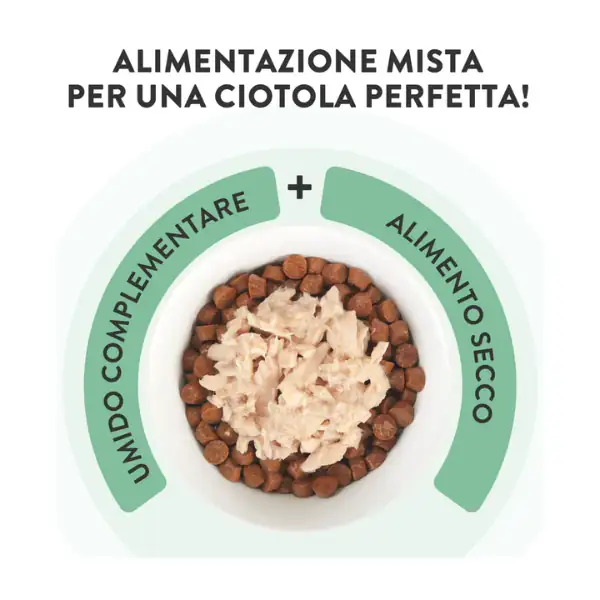 Schesir Cat Adult filetti in brodo alimento complementare in lattina 70 gr