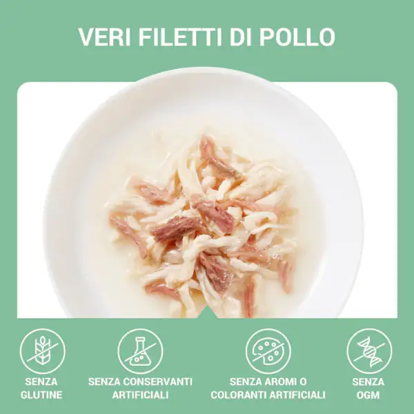 Schesir Cat Adult filetti in brodo alimento complementare in lattina 70 gr