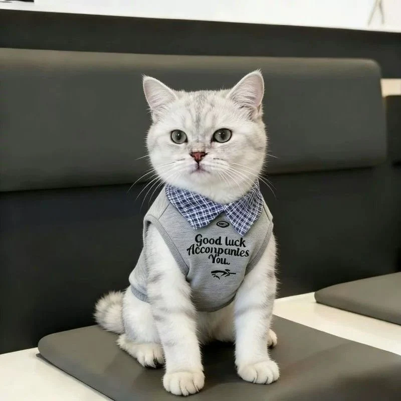 Plaid Collar Pet Vest – Classic Preppy Shirt for Cats & Dogs