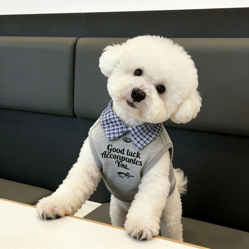 Plaid Collar Pet Vest – Classic Preppy Shirt for Cats & Dogs