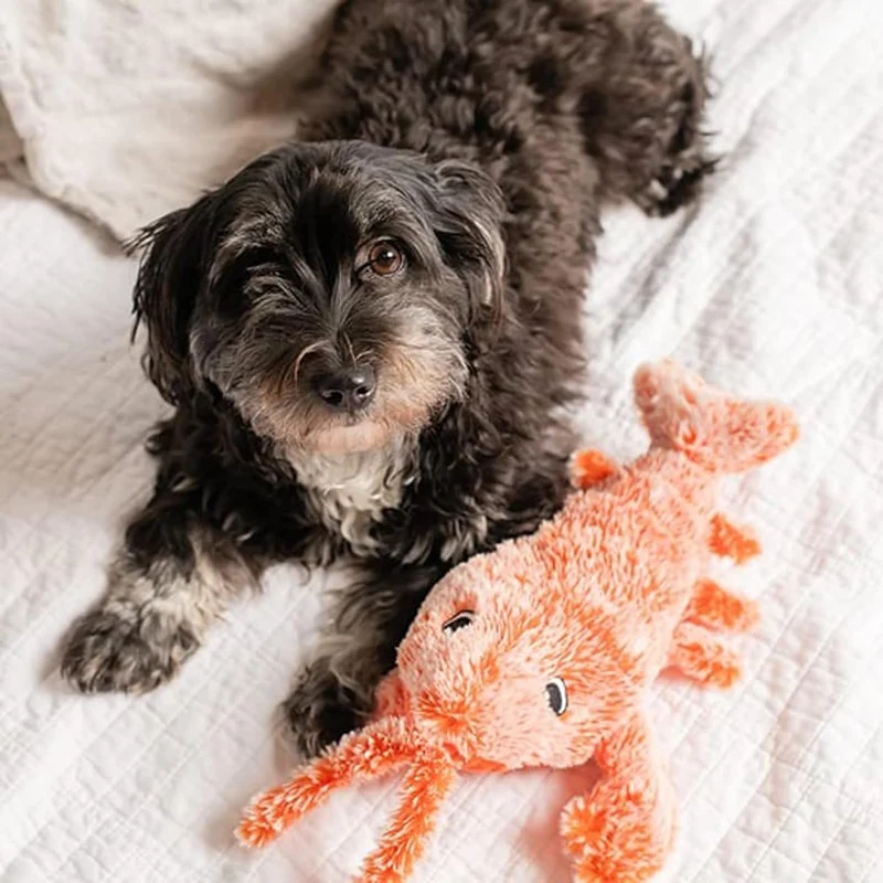 Interactive Lobster Pet Toy – Moving Wiggle Toy for Cats & Dogs