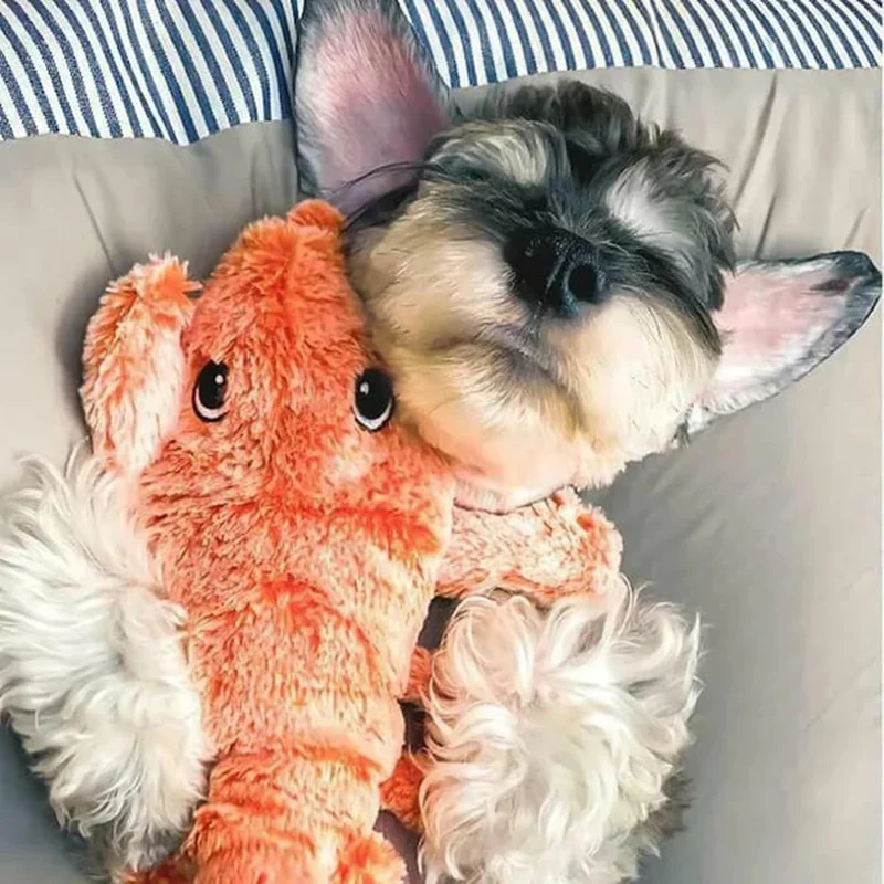 Interactive Lobster Pet Toy – Moving Wiggle Toy for Cats & Dogs