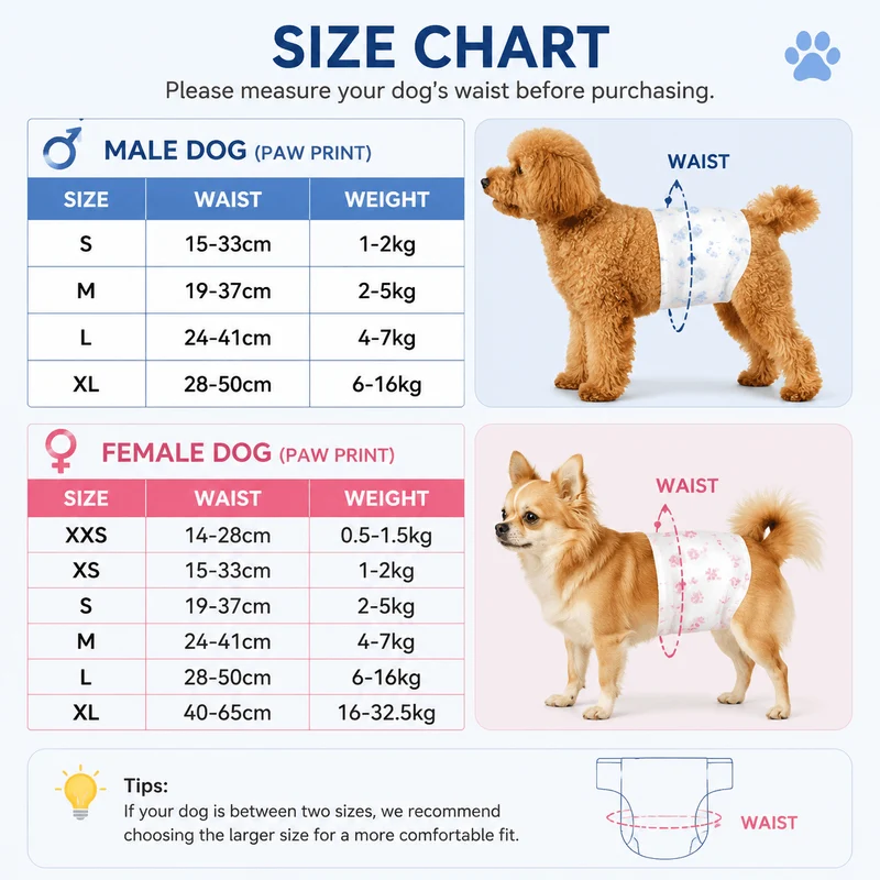 Disposable Dog Diapers for Male & Female Dogs – 10 Pack