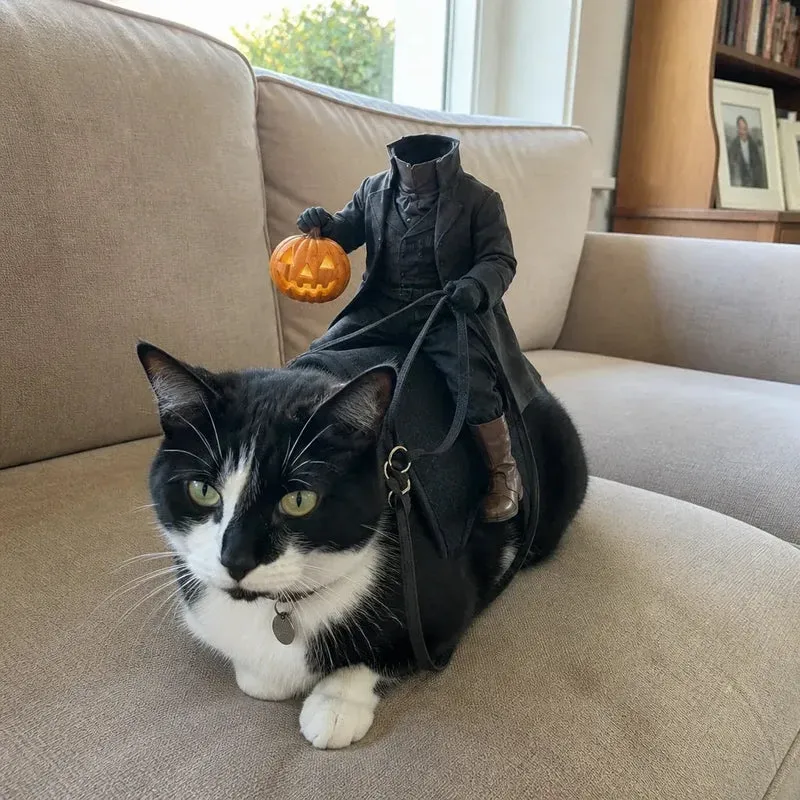 Headless Horseman Cat Costume – Funny 3D Halloween Pet Costume