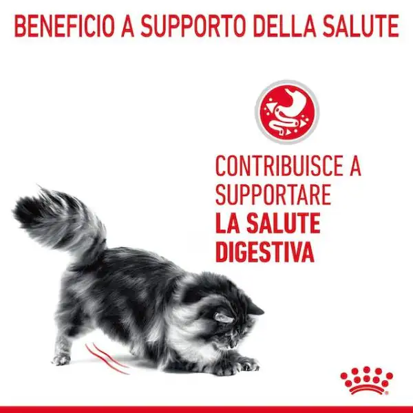Royal Canin Digest Care in Salsa
