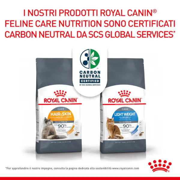 Royal Canin Digest Care in Salsa