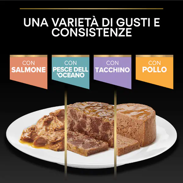 Purina Pro Plan Adult Maintenance Umido Gatti Terrine Pollo 85 g