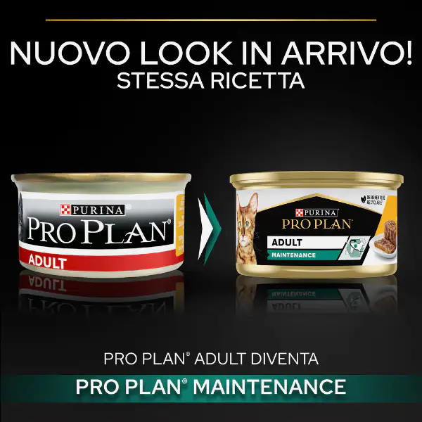 Purina Pro Plan Adult Maintenance Umido Gatti Terrine Pollo 85 g