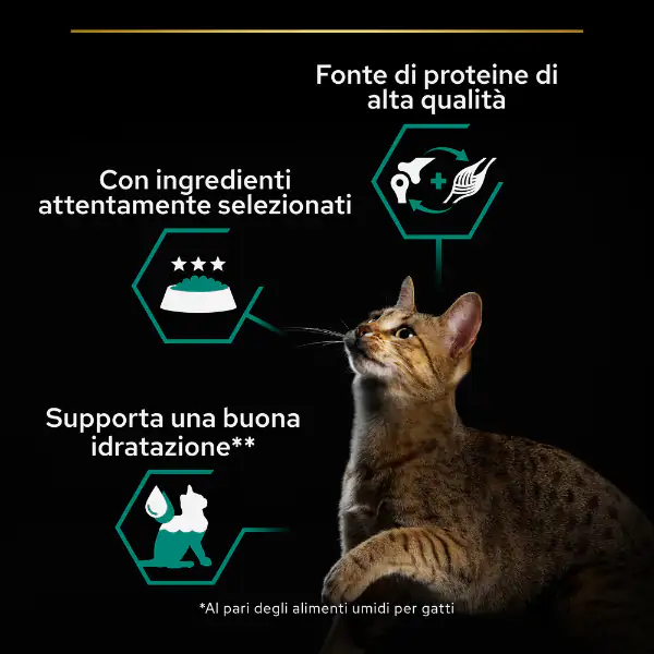 Purina Pro Plan Adult Maintenance Umido Gatti Terrine Pollo 85 g