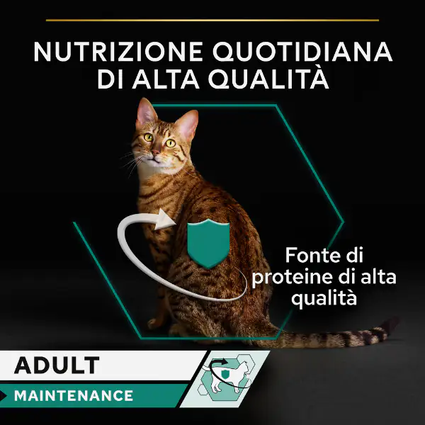 Purina Pro Plan Adult Maintenance Umido Gatti Terrine Pollo 85 g