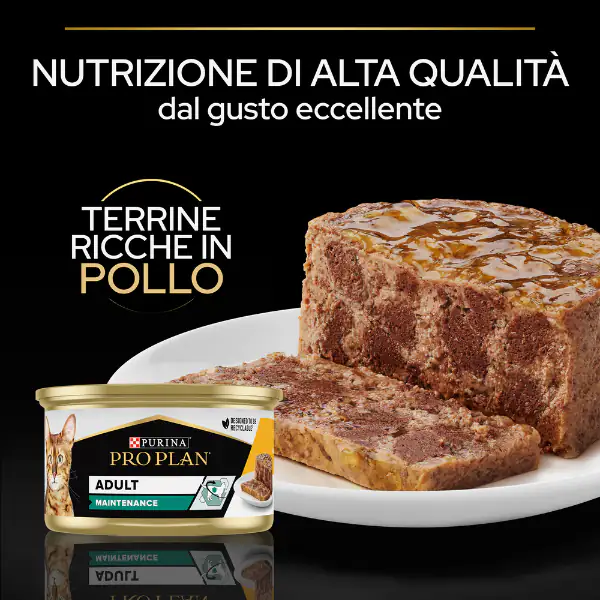 Purina Pro Plan Adult Maintenance Umido Gatti Terrine Pollo 85 g