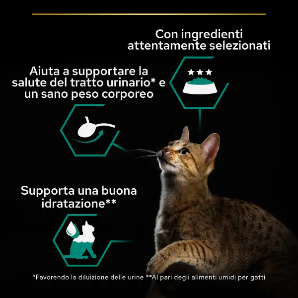 Purina Pro Plan Sterilised Maintenance Umido Gatti Terrine Salmone e Tonno