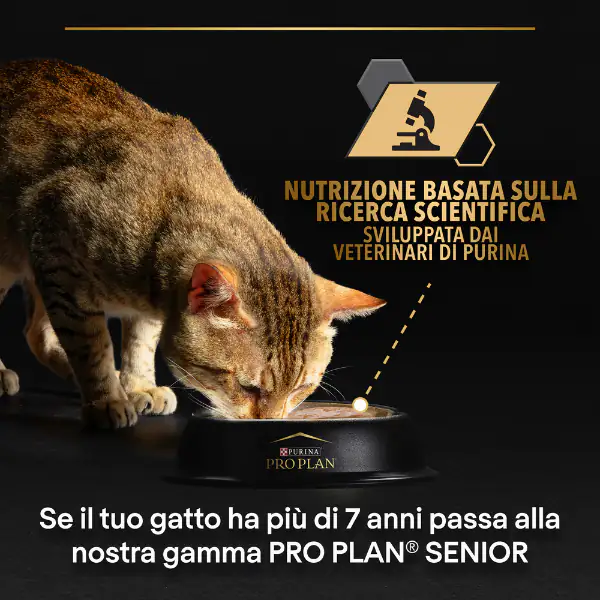 Purina Pro Plan Sterilised Maintenance Umido Gatti Terrine Salmone e Tonno