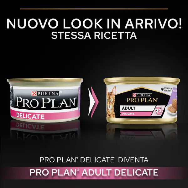 Purina Pro Plan Adult Delicate Umido Gatti Mousse Tacchino 85 g