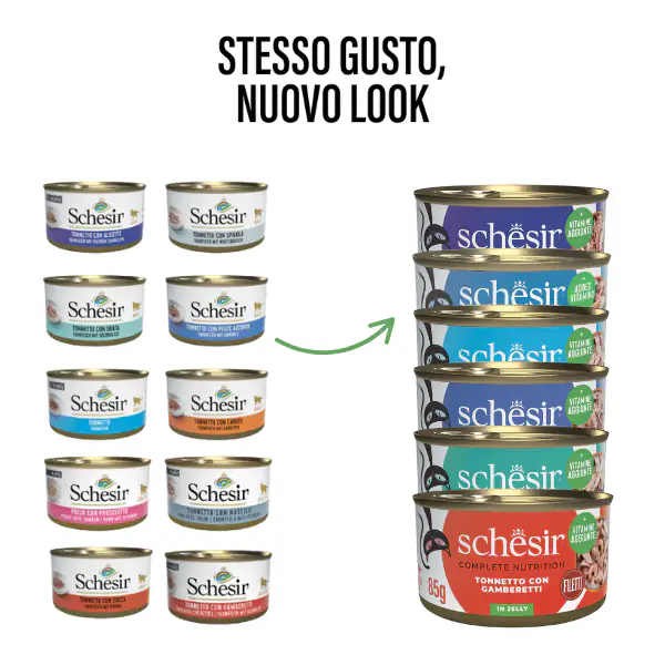 Schesir Cat Soft Adult filetti in gelatina alimento completo lattina 85 gr