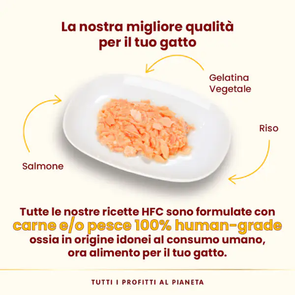 Almo Nature HFC Natural monoproteico Cat 70 gr
