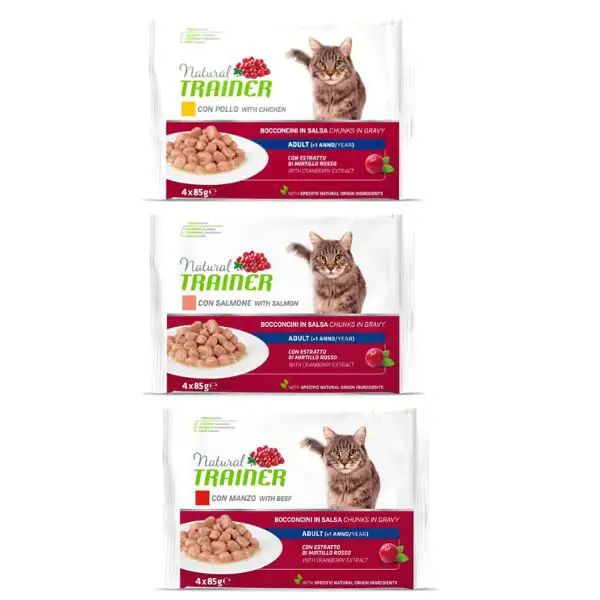 Natural Trainer Flowpack Adult (4x85 gr)