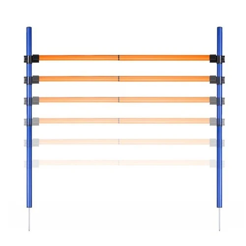 Agility Salto ad Ostacoli per Cani