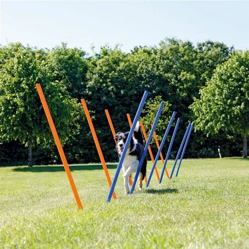 Agility Paletti Slalom Allenamento per Cani
