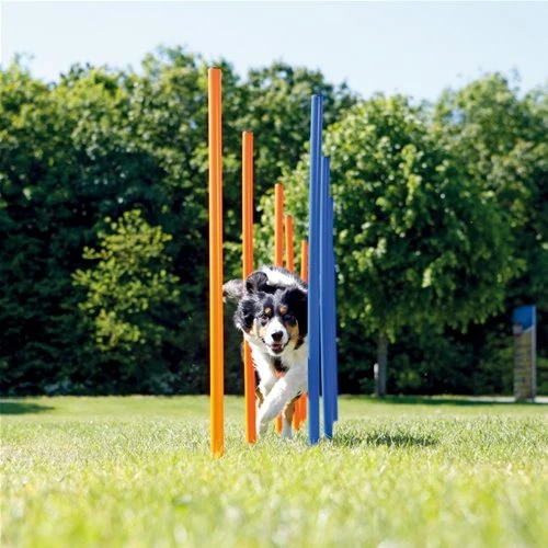 Agility Paletti Slalom Allenamento per Cani