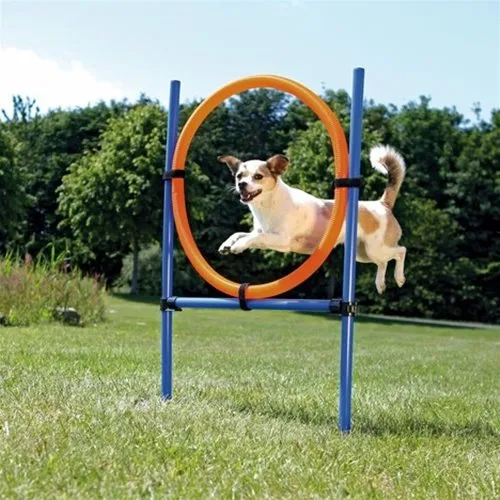 Agility Anello Allenamento per Cani 55 cm