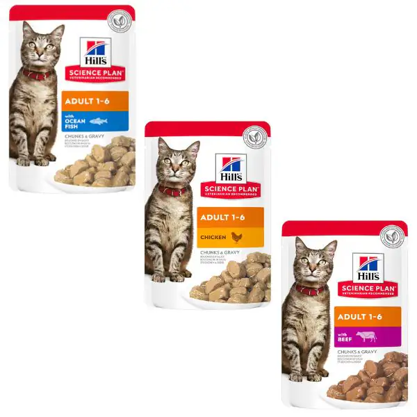 Hill's Science Plan Adult Alimento per Gatti 85 gr
