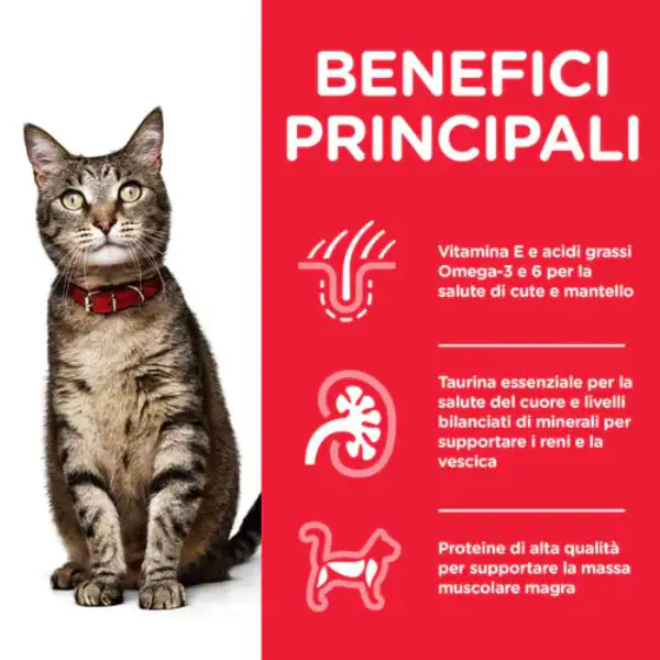 Hill's Science Plan Adult Alimento per Gatti 85 gr