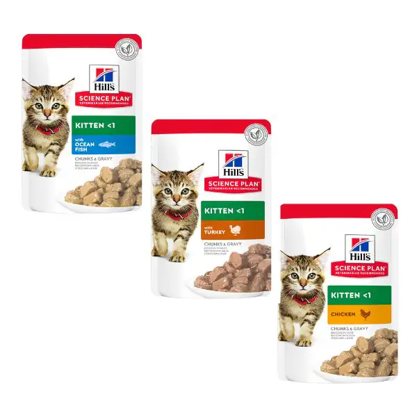 Hill's Science Plan Kitten Alimento per gattini 85 gr