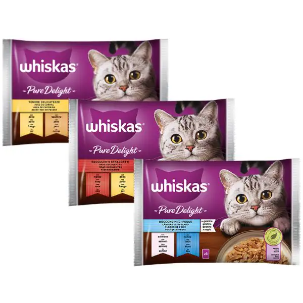 Whiskas Pure Delight ricette in gelatina Multipack 4 pezzi da 85 gr