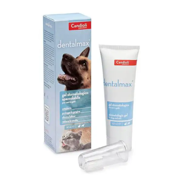 Candioli Pharma DentalMax gel stomatologico