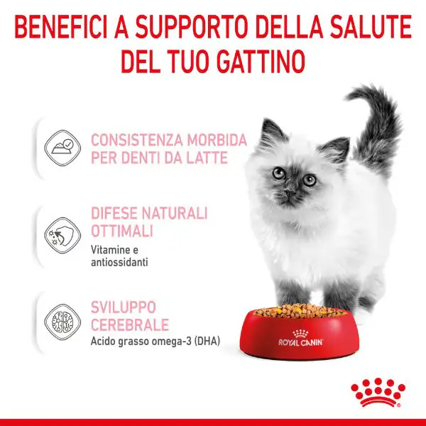 Royal Canin Kitten Patè