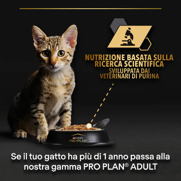Purina Pro Plan Baby Kitten Healthy Start Umido Gatti Mousse Pollo 85 g