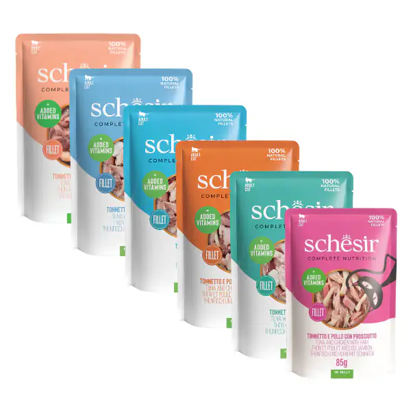 Schesir Cat Soft Adult filetti in gelatina alimento completo bustine 85 gr