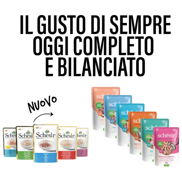 Schesir Cat Soft Adult filetti in gelatina alimento completo bustine 85 gr