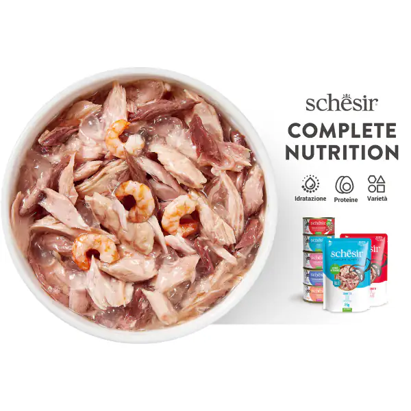 Schesir Cat Soft Adult filetti in gelatina alimento completo bustine 85 gr