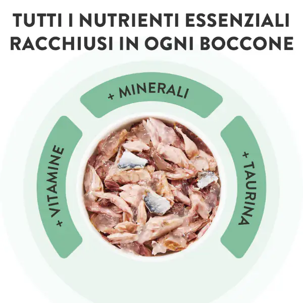 Schesir Cat Soft Adult filetti in gelatina alimento completo bustine 85 gr