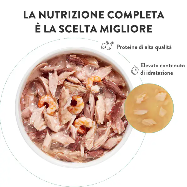 Schesir Cat Soft Adult filetti in gelatina alimento completo bustine 85 gr