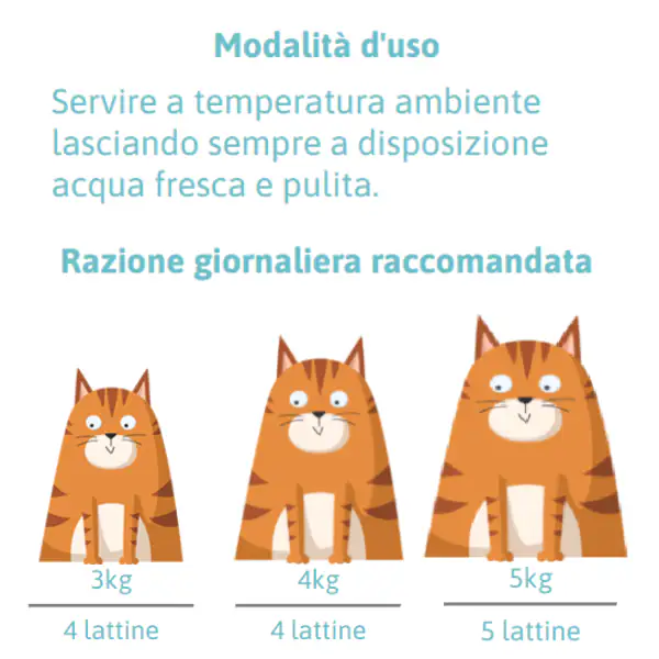 Petreet Vellutate Cat Maxi Scorta 6x70 gr