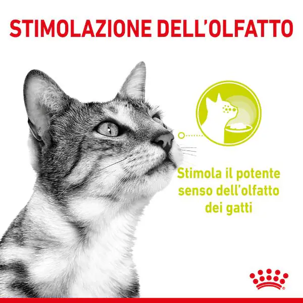 Royal Canin Cat Sensory Smell 85 gr