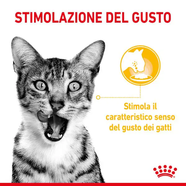 Royal Canin Cat Sensory Taste 85 gr