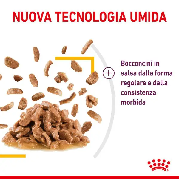 Royal Canin Cat Sensory Taste 85 gr