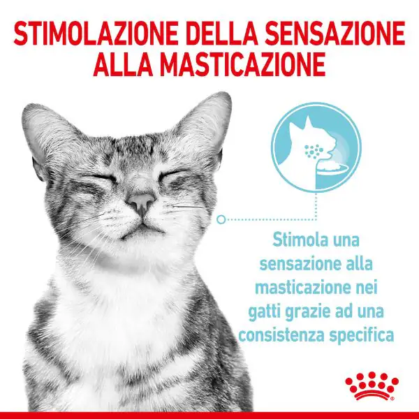 Royal Canin Cat Sensory Feel 85 gr