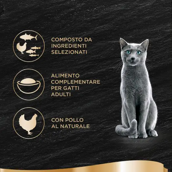 Sheba Filets in salsa 60 gr