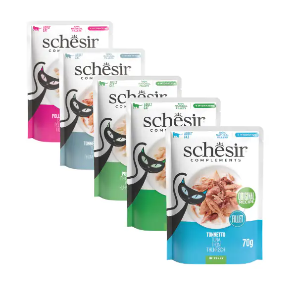Schesir Cat Soft Adult filetti in gelatina alimento complementare bustine 70 gr